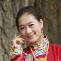 狗的风格和交流